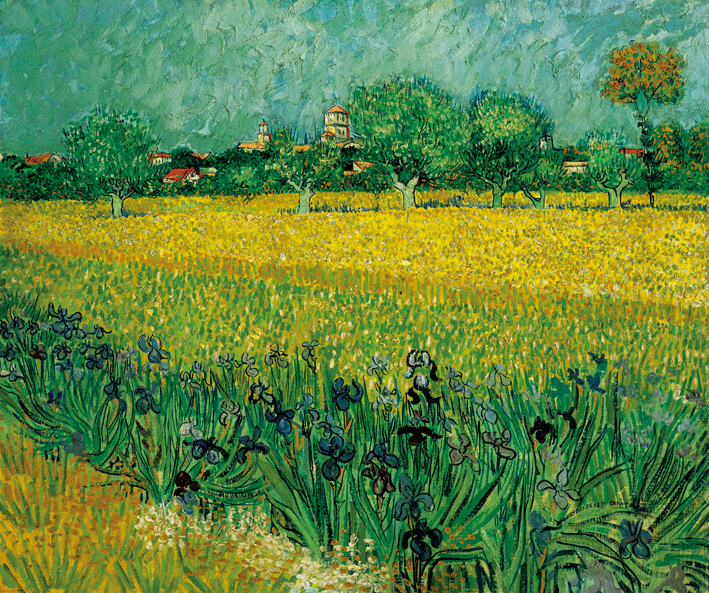  文森特·威廉·梵高  Vincent Willen Van Gogh ——阿尔勒附近田野中的鸢尾花1888